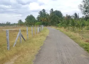 50 Cent Agricultural/Farm Land for Sale in Uddanapalli, Krishnagiri