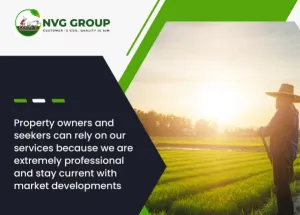 10 Acre Agricultural/Farm Land for Sale in Kaveripattinam, Krishnagiri