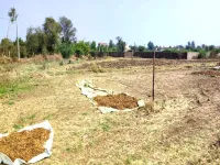  Commercial Land for Sale in Dakor, Kheda