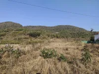  Agricultural Land for Sale in Revdanda, Alibag, Raigad