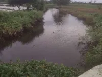  Agricultural Land for Sale in Trichy Highways, Tiruchirappalli