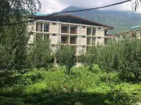 1 BHK Flat for Sale in Aleo, Manali