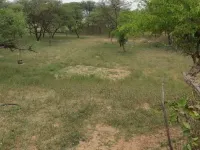  Agricultural Land for Sale in Kukas, Jaipur