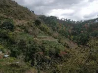 Agricultural Land for Sale in Bhagtan, Sirmaur, Shimla