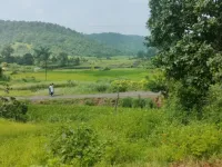  Agricultural Land for Rent in Murbad, Thane