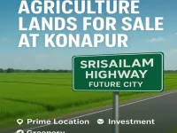  Residential Plot for Sale in Srisailam Highway, Hyderabad