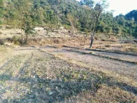 Residential Plot for Sale in Baijnath, Kangra