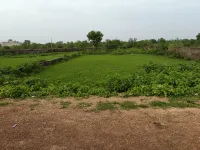 Residential Plot for Sale in Amlidih, Raipur