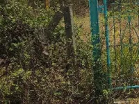  Industrial Land for Rent in Umbergaon, Valsad