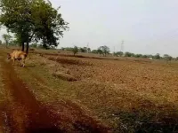  Residential Plot for Sale in Utai, Durg