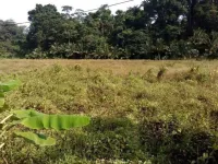  Agricultural Land for Sale in Havelock Island, Andaman