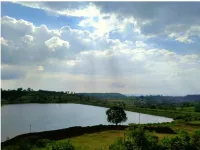  Agricultural Land for Sale in Dindori, Nashik