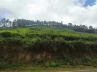  Residential Plot for Sale in Kotagiri, Nilgiris