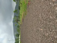  Agricultural Land for Sale in Trimbak, Nashik