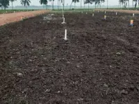  Residential Plot for Sale in Palakollu, West Godavari