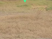  Industrial Land for Sale in Mumbai Pune Highway