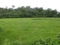  Agricultural Land for Sale in Diglipur, Andaman