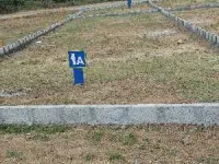  Residential Plot for Sale in Hosur Taluk, Krishnagiri