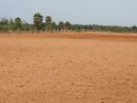  Residential Plot for Sale in Sachin, Surat