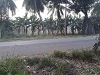 Industrial Land for Sale in Tanuku, West Godavari