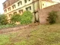 Residential Plot for Sale in Line Bazar, Purnia