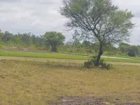  Agricultural Land for Sale in Mysore Road, Bangalore