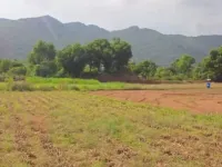 Attur Layout, Bangalore photo 3