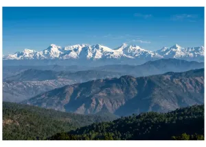 Hotels for Sale in Mukteshwar, Nainital
