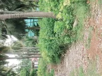  Agricultural Land for Sale in Razole, East Godavari