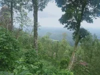  Agricultural Land for Sale in Coorg, Mysore