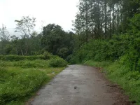 Residential Plot for Sale in Somvarpet Sorab, Kodagu