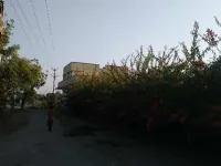  Agricultural Land for Sale in Paddhari, Rajkot