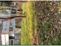  Residential Plot for Sale in Mamangalam, Edappally, Ernakulam