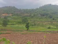  Agricultural Land for Sale in Kanakapura Road, Bangalore