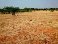  Agricultural Land for Sale in Hindupur, Anantapur