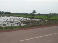  Agricultural Land for Sale in Fasterpur, Mungeli