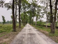  Agricultural Land for Sale in Bidhan Nagar, Siliguri