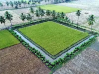  Residential Plot for Sale in Gajraula, Amroha