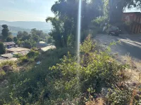  Residential Plot for Sale in Banuri, Palampur