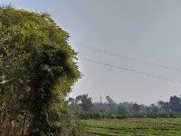  Agricultural Land for Sale in Kapadvanj, Kheda