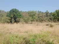  Agricultural Land for Sale in Murbad, Thane