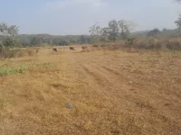  Agricultural Land for Sale in Murbad, Thane