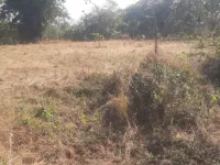 Agricultural Land for Sale in Murbad MIDC, Thane