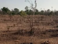 Agricultural Land for Sale in Shahapur, Thane