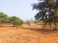 Agricultural Land for Sale in Murbad, Thane