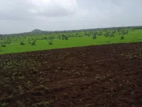 Agricultural Land for Sale in Shahapur, Thane