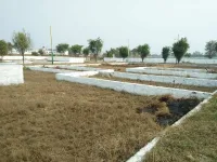  Residential Plot for Sale in Pilkhuwa, Hapur
