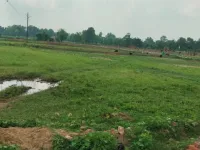 Agricultural Land for Sale in Ansal Satbari, Delhi