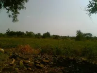  Agricultural Land for Sale in Arvi, Wardha