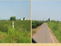  Agricultural Land for Sale in Talod, Sabarkantha